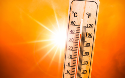 Heat Advisory: Tips and Warning Signs