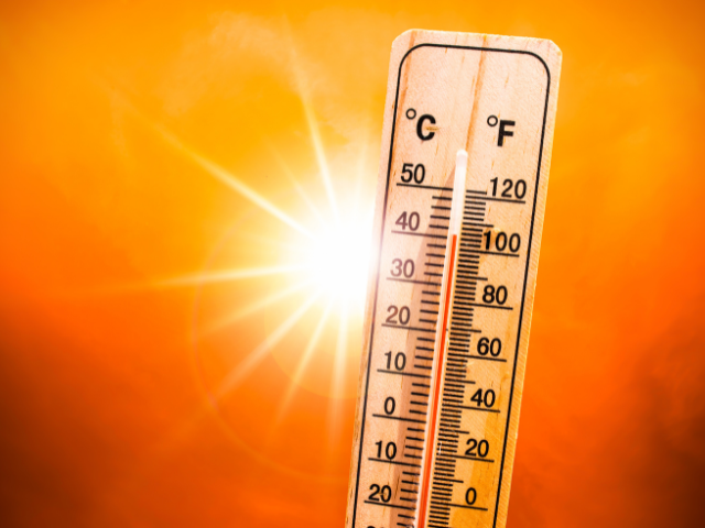 Heat Advisory: Tips and Warning Signs