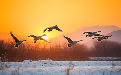 A Poem of Renewal