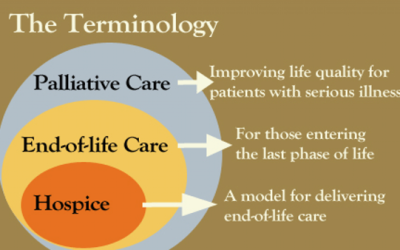 What is the difference between Palliative Care and Hospice?